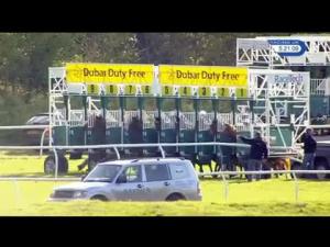 Video preview image for Newbury 17:20 - Carter Jonas Maiden Stakes (Plus 10)