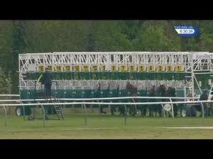 Video preview image for Nottingham 18:30 - Hucknall Sheet Metal 40th Anniversary Maiden Stakes