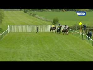 Video preview image for Warwick 15:25 - Ubs Wealth Management Novices' Handicap Chase