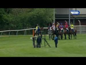 Video preview image for Warwick 17:00 - racinguk.com Standard Open NH Flat Race (Div 2)