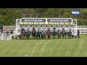 Video preview image for Beverley 14:10 - In Celebration Of Jill Willows Wotalass Fillies' Novice Auction Stakes (Plus 10)