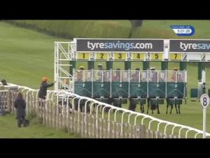 Video preview image for Beverley 17:00 - Beverley Folk Festival Here In June Maiden Auction Stakes