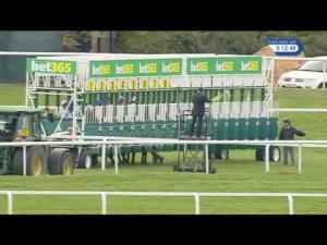Video preview image for Sandown Park 17:10 - Bet365 Handicap