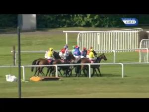 Video preview image for Sandown Park 16:45 - Bet365 Josh Gifford Novices' Handicap Chase