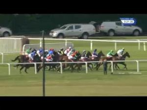Video preview image for Sandown Park 17:20 - Bet365 Handicap Hurdle