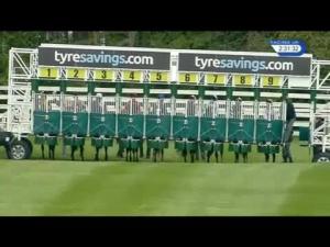 Video preview image for Beverley 14:30 - Mayday Raceday Novice Median Auction Stakes (Div 2)