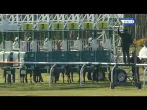 Video preview image for Musselburgh 18:40 - Racing UK Maiden Stakes