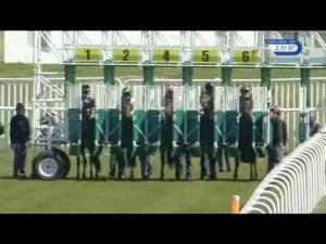 Video preview image for Musselburgh 14:30 - Weatherbys Bank British Stallion Studs EBF Maiden Stakes