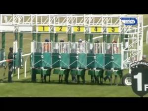 Video preview image for Musselburgh 15:30 - Weatherbys Private Bank Handicap