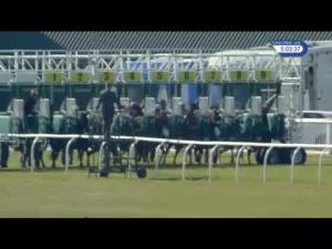 Video preview image for Musselburgh 17:00 - racinguk.com Handicap