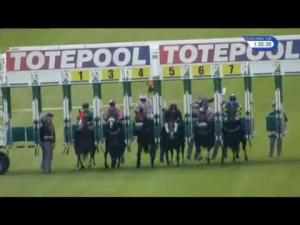 Video preview image for Hamilton Park 13:35 - Toteplacepot Six Places In Six Races Handicap