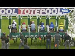 Video preview image for Hamilton Park 14:35 - Totepool Buttonhook Handicap
