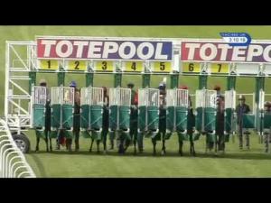 Video preview image for Hamilton Park 15:10 - Toteexacta Pick The 1st & 2nd Handicap