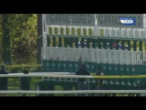 Video preview image for Ayr 15:30 - Belhaven For MacMillan May Handicap