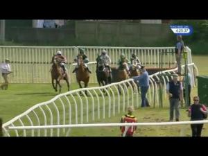 Video preview image for Kelso 16:25 - Principal & Prosper Conditional Jockeys' Handicap Hurdle