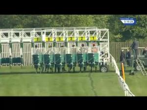 Video preview image for Catterick Bridge 17:15 - Racing Again 25th May Handicap