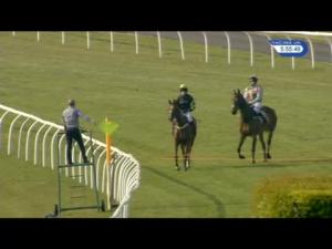 Video preview image for Carlisle 17:55 - Watch Racing UK In HD 'National Hunt' Novices' Hurdle