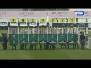 Video preview image for Chester 16:05 - Tmt Group Maiden Fillies' Stakes (Plus 10)