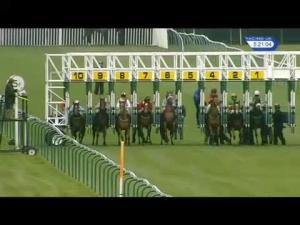 Video preview image for Nottingham 17:10 - Just Jane Fillies' Novice Median Auction Stakes (Plus 10)