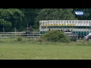 Video preview image for Nottingham 16:25 - Genting Casino At The Cornerhouse Handicap
