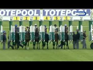 Video preview image for Ascot 16:35 - totepoolliveinfo.com Novice Stakes (Plus 10)