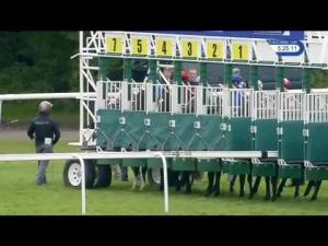 Video preview image for Haydock Park 17:25 - Pertemps Network Handicap