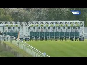 Video preview image for Thirsk 19:15 - Dick Peacock Sprint Handicap