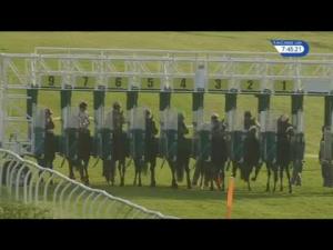 Video preview image for Thirsk 19:45 - Elwick Stud Fillies' Handicap