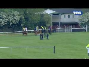 Video preview image for Warwick 20:30 - Whites - Free Skips For Metal Standard Open NH Flat Race