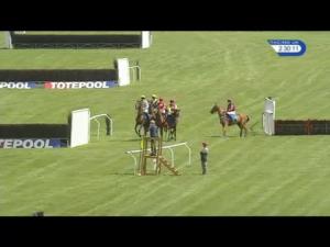 Video preview image for Ludlow 14:30 - Totepool Supporting Mental Health Awareness Week Novices' Handicap Chase