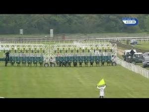 Video preview image for Wetherby 16:00 - Racing UK Now Live On Youview 231 Handicap