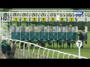 Video preview image for Beverley 17:00 - Racing UK Day Pass Just 10 Maiden Stakes