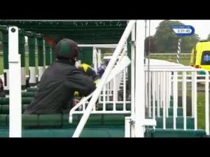 Video preview image for York 15:30 - Duke Of York Clipper Logistics Stakes (Group 2)