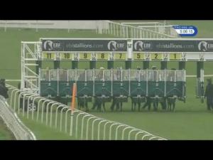 Video preview image for York 17:05 - British Stallion Studs EBF Novice Stakes (Plus 10)