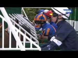 Video preview image for York 15:30 - Betfred Dante Stakes (Group 2)