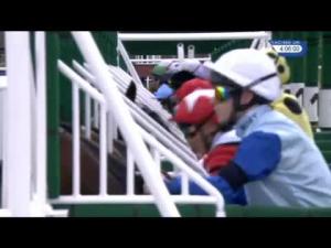 Video preview image for York 16:05 - Betfred TV Hambleton Handicap (Listed)