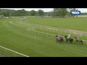 Video preview image for Perth 16:15 - Investec Wealth and Investment Handicap Hurdle