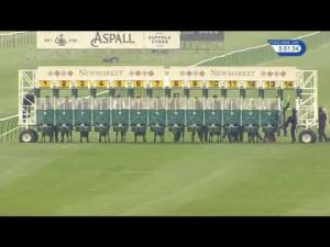 Video preview image for Newmarket 17:50 - Federation Of Bloodstock Agents Novice Auction Stakes (Plus 10)