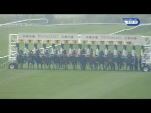 Video preview image for Newmarket 20:00 - rewards4racing.com Fillies' Handicap