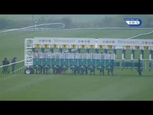 Video preview image for Newmarket 20:30 - Racinguk Now Live On Youview 231 Handicap