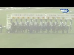 Video preview image for Newmarket 13:40 - John Tanner Handicap (Div 1)