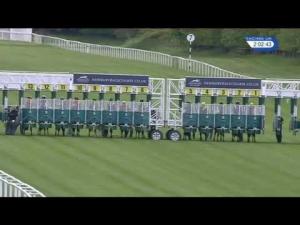 Video preview image for Newbury 14:00 - Welcome To The Starlight Raceday Maiden Stakes (Plus 10)
