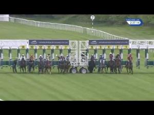 Video preview image for Newbury 14:35 - Starlight Handicap
