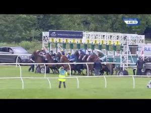 Video preview image for Newbury 16:45 - John Sunley Memorial Handicap