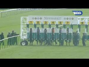 Video preview image for Newmarket 16:55 - Discover Newmarket Handicap