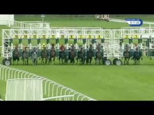 Video preview image for York 17:05 - Yorkshire Equine Practice Handicap