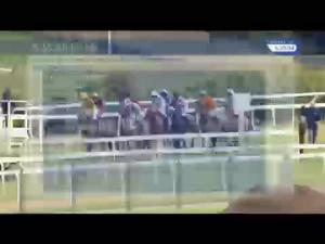 Video preview image for Aintree 17:35 - Racehorse Owners Association Mares' Handicap Hurdle