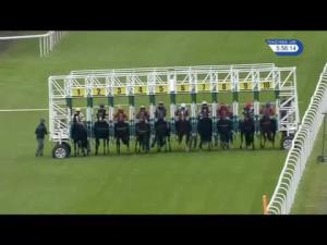 Video preview image for Hamilton Park 17:55 - Bb Foodservice EBF Novice Stakes (Plus 10)