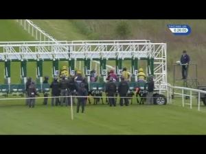 Video preview image for Hamilton Park 18:25 - racinguk.com Handicap