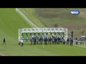 Video preview image for Hamilton Park 19:00 - Racing Together Handicap